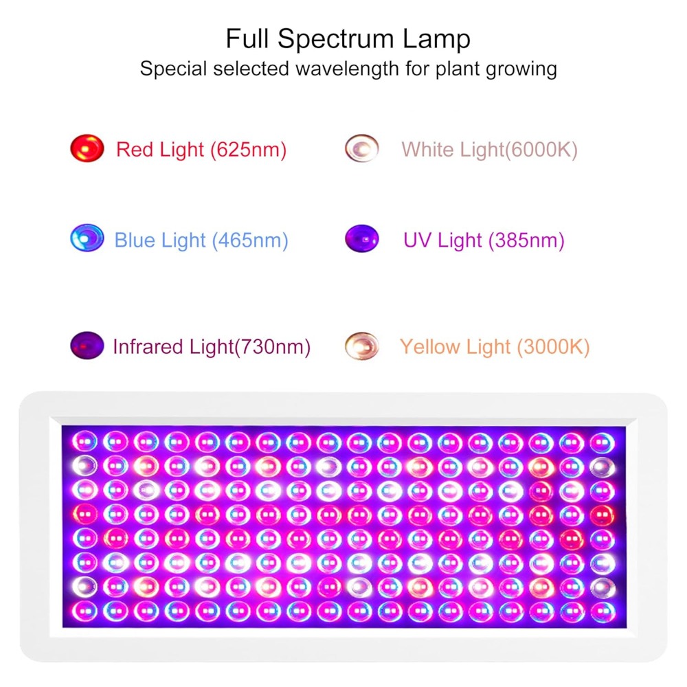2000W UV Light Box for DIY Ici - Uv Sole Oxidation のレビューと価格
